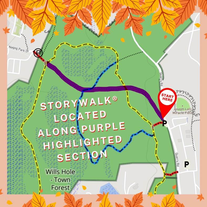 A map showing the StoryWalk® path from the back of Lalli Field to a parking lot on Nagog Park Drive.