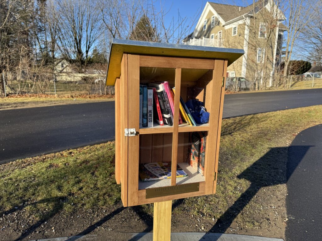A small wood structure with acrylic windows. You can see a number of books are already in the two shelf library.