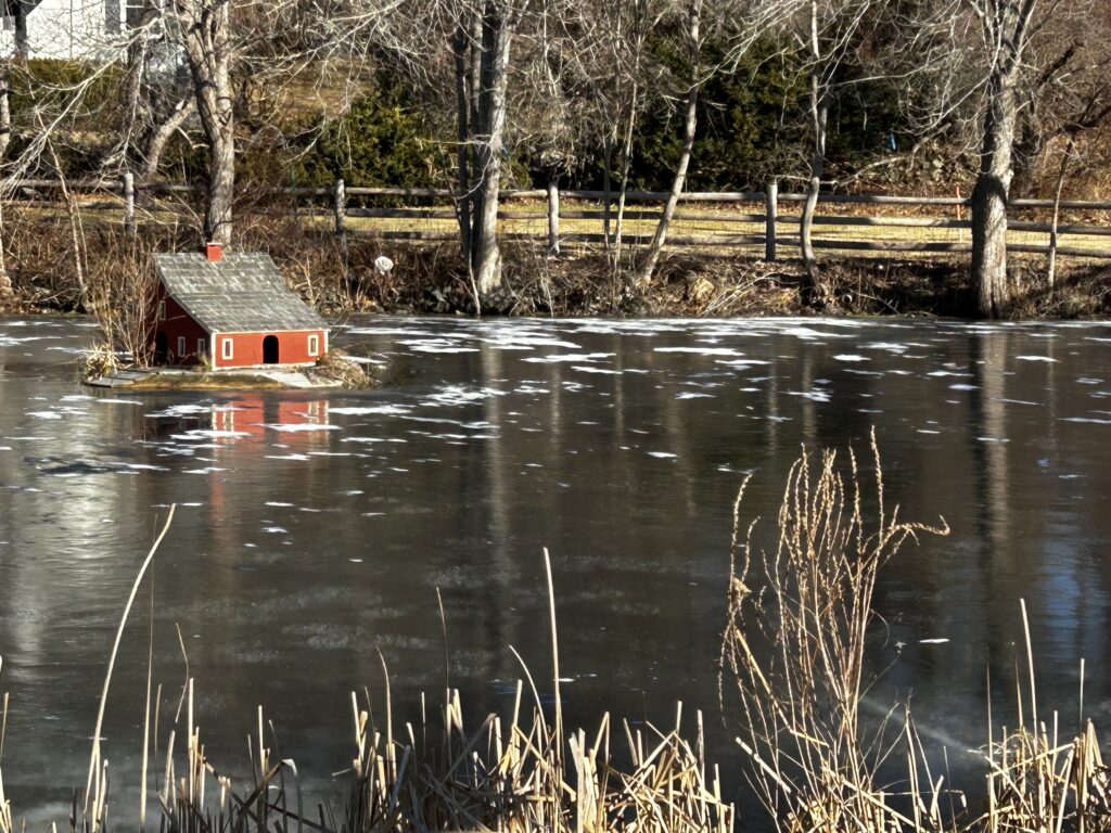 A small (about two feet high) red house in the middle of a pond.