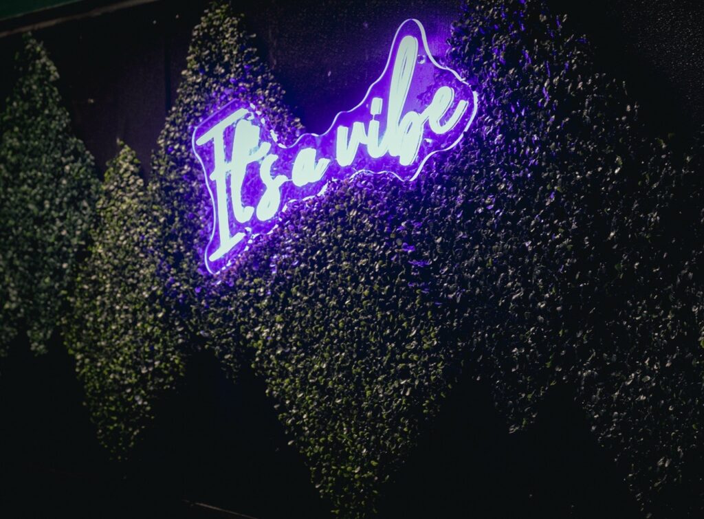 A small neon sign that says "It's a vibe!" from the back wall. The sign is embedded in (fake) greenery that covers the wall.