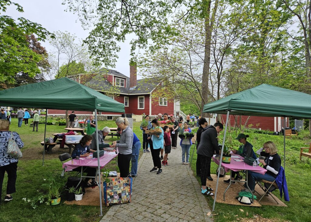 Two tents on a walkway -- People are lined up in the background waiting to get to the tents. Everyone has their arms full of plants.