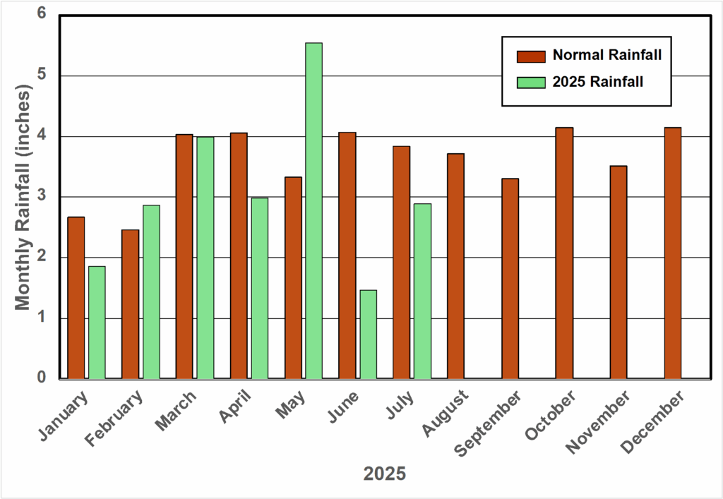 A chart comparing normal rainfall to 2025 January - July amounts. March rainfall was close to normal, May had about 2 inches more than average rainfall; every other month had less than average amounts.