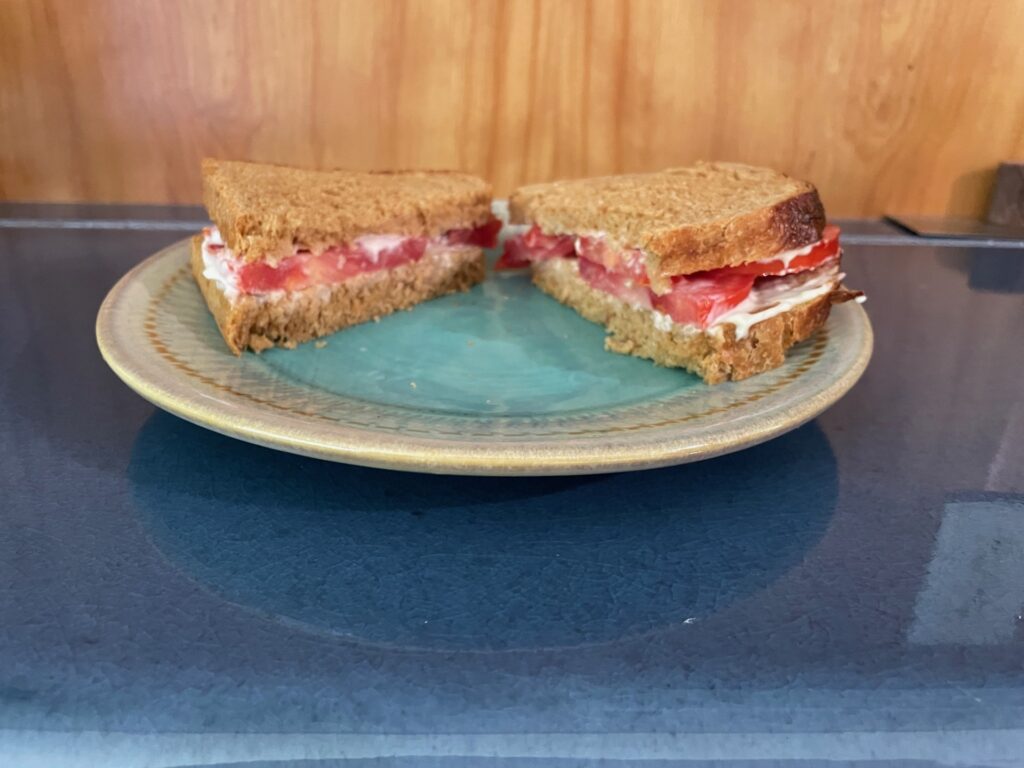 A sandwich with whole wheat bread, tomatoes, and mayo on a blue plate.