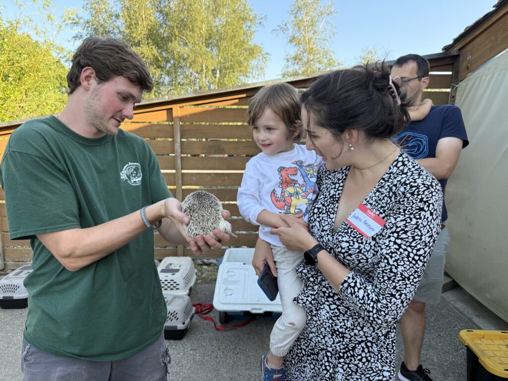A man in a green t-shirt holds a baby hedgehog. A woman holding a young child take a close look.