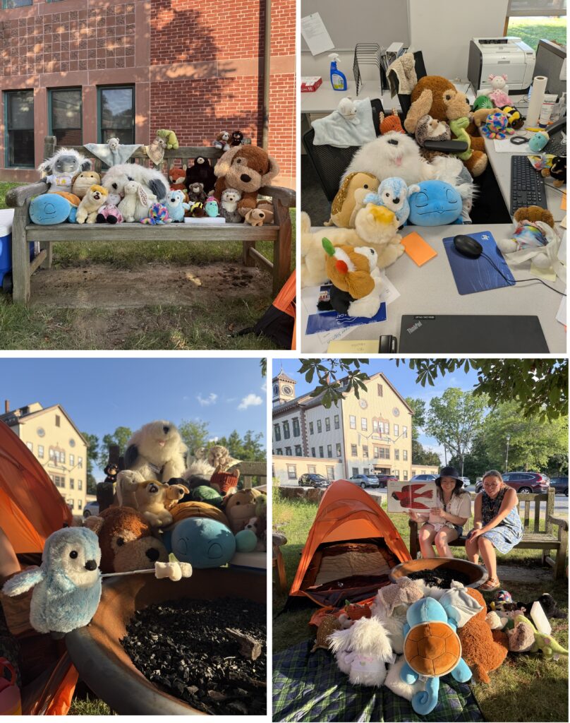 A composite of four pictures: * A group of stuffies sits on a wooden bench in front of the library. * The stuffies are in an office, checking out the computer and playing with sticky notes. * Two women sit on the outdoor bench reading a storybook. The stuffies are sitting in front of a tent, listenening quietly. * A blue owl is roasting a marshmallow while her stuffie companions wait patiently for their turn.