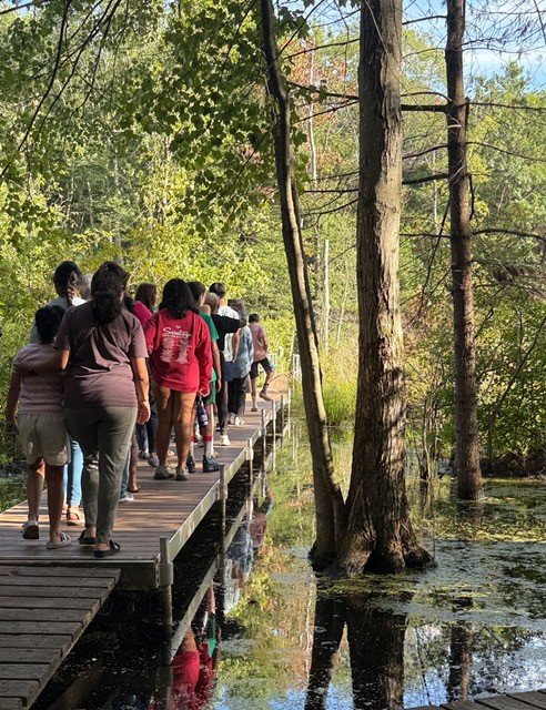 A group of walkers on a boardwalk over a stream.