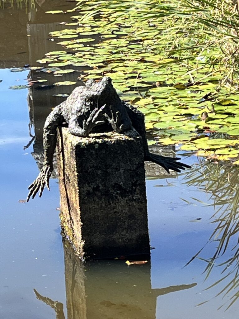 An old concrete block near the dam in the pond. On the block, a large black metal frog rests.