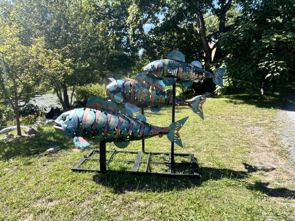 Three large metallic fish that look ready to jump into the pond. They are about 40 inches long and made of blue, gold, and reddish metal.