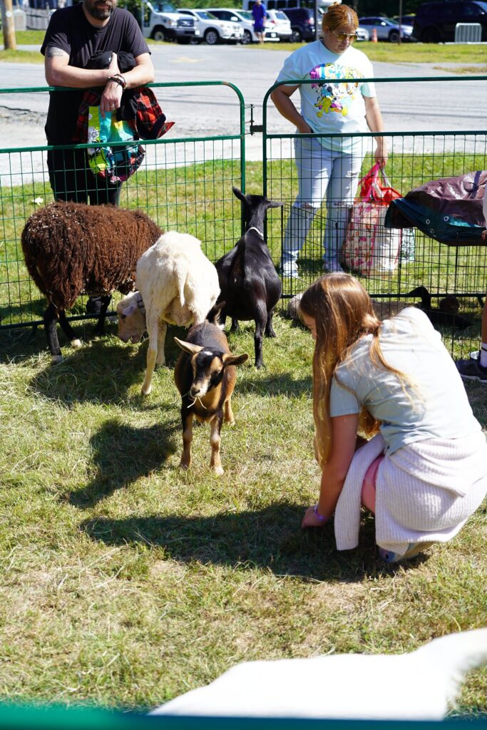 The enclosure up close with sheep and goats walking up to people outside the fence. There's a girl in the enclosure feeding hay to a kid.