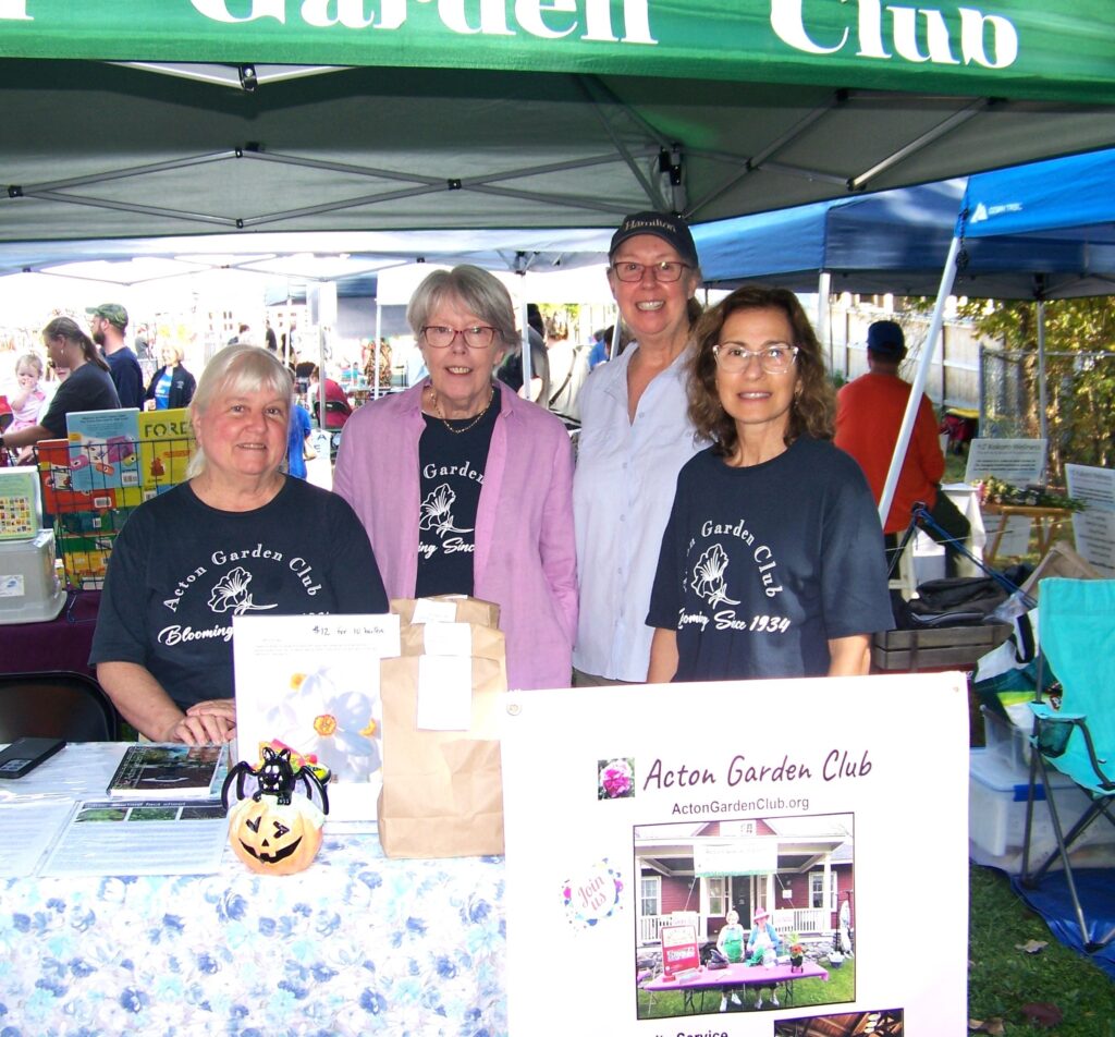 Four women wearing Acton Garden Club gear stand under a green tent. On the table are bags of flower bulbs for sale.