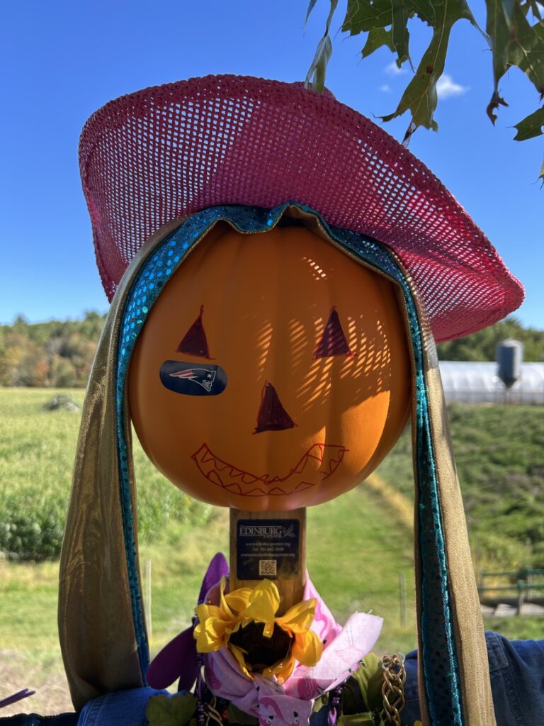 A scarecrow with a straw hat and fabric hair. Maria also sports a Patriots sticker on her pumpkin head face.