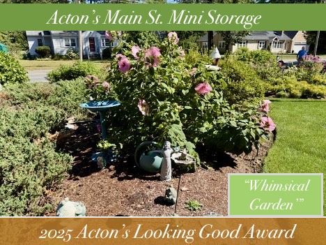 A large pink hibiscus with a birdbath and some statues.