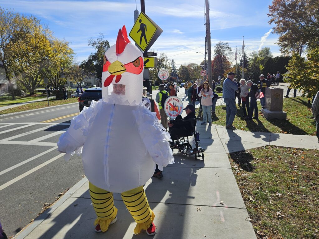 A person in a blow-up chicken suit stands on the sidewalk along Rt. 27.