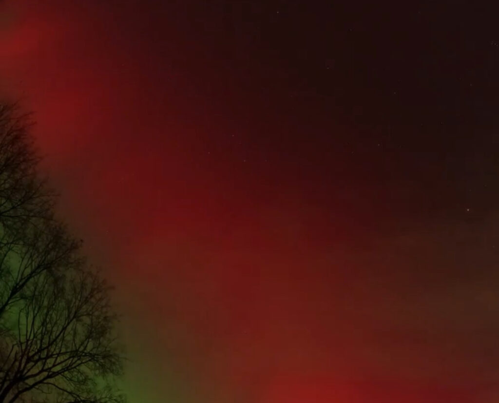 On the far left, a leafless tree. the rest of the photo shows bands of green and red, fading to black in the top corner.