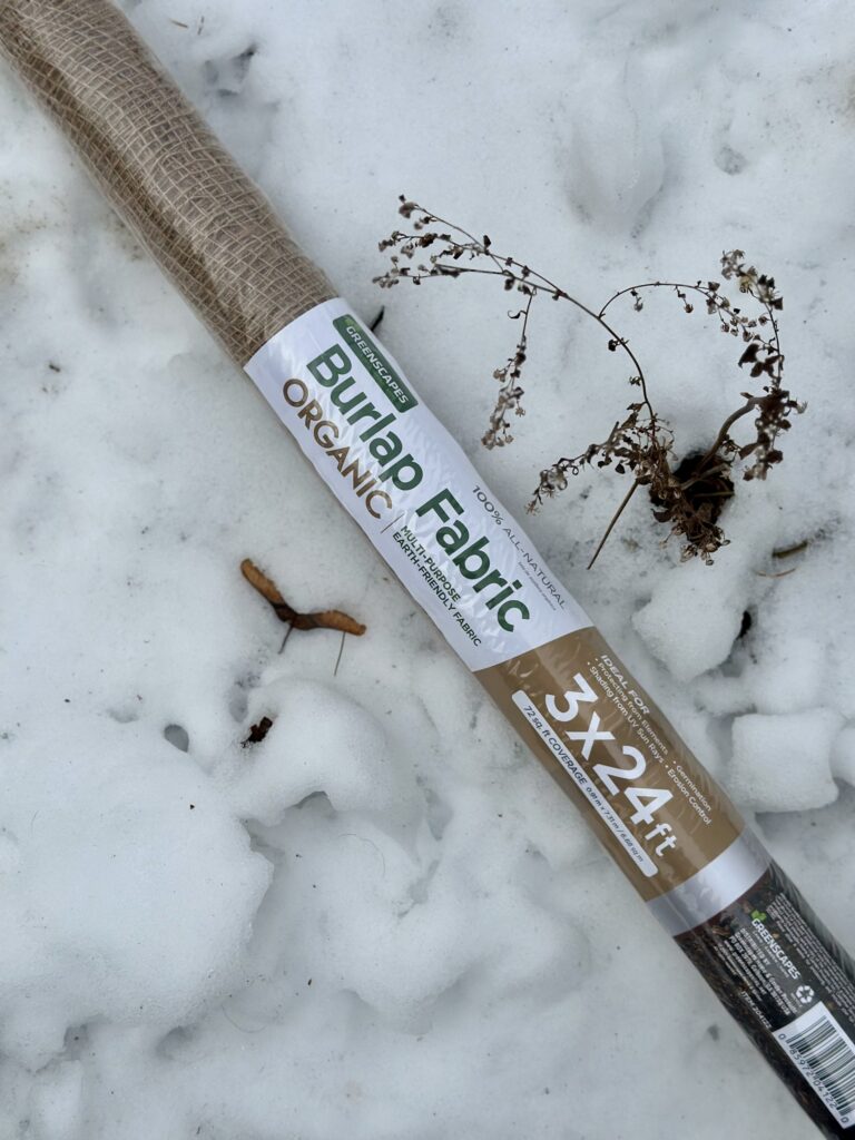 A roll of organic burlap fabric that one might use to wrap plants.