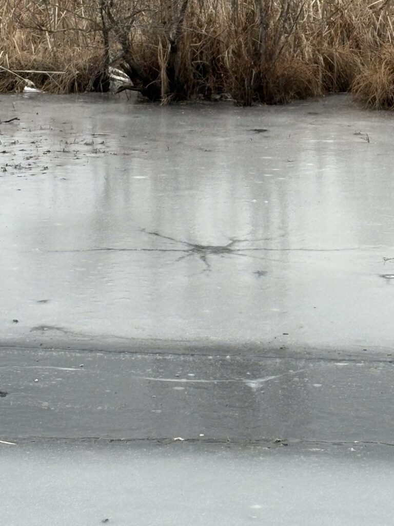 The same crack, now about 3 meters wide sits in the ice, but the snow has melted.